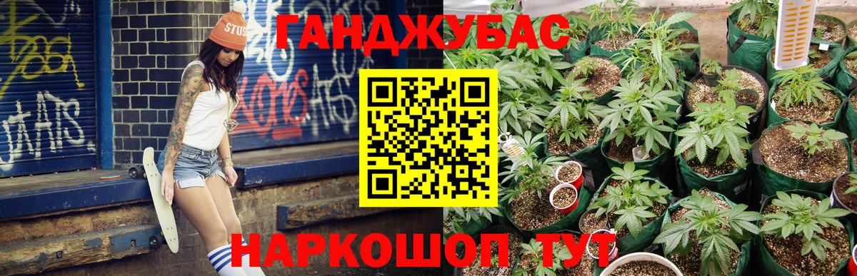 Марихуана сатива  Вход с VPN  Бошки марихуана ГИДРОПОН  Бошки Шишки SATIVA & INDICA  Пугачёв 