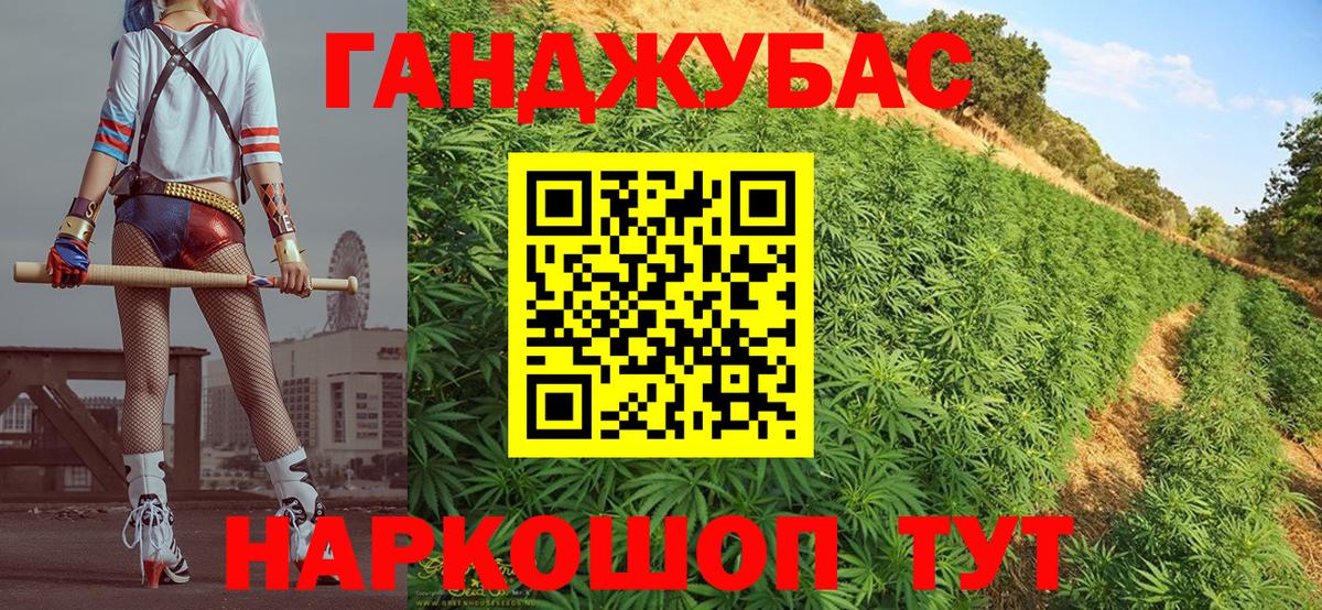 Бошки марихуана конопля Пугачёв